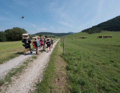 Gilwellská inštruktorská lesná škola